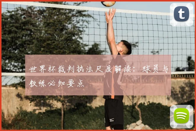 世界杯裁判执法尺度解读：球员与教练必知要点